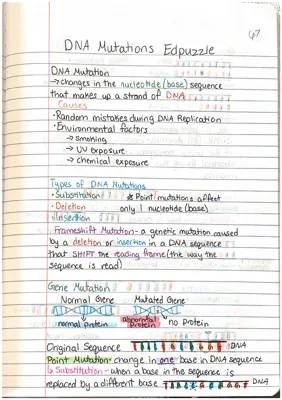 What are DNA Mutations? Easy Guide with Pictures and Examples