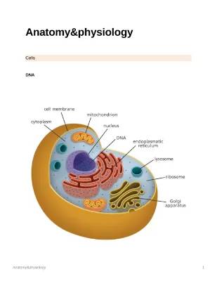 Fun with Cell Organelles: Diagrams, Functions, and Cool Charts!