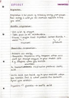 Fun Facts About Respiration: Aerobic vs. Anaerobic + Gas Exchange in Lungs