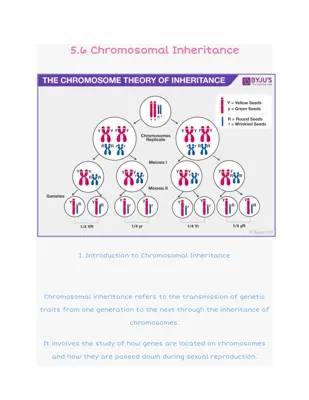 5.6 Chromosomal Inheritance