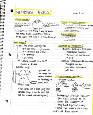 How Cells Get Energy: Understanding Gibbs Free Energy and Reactions