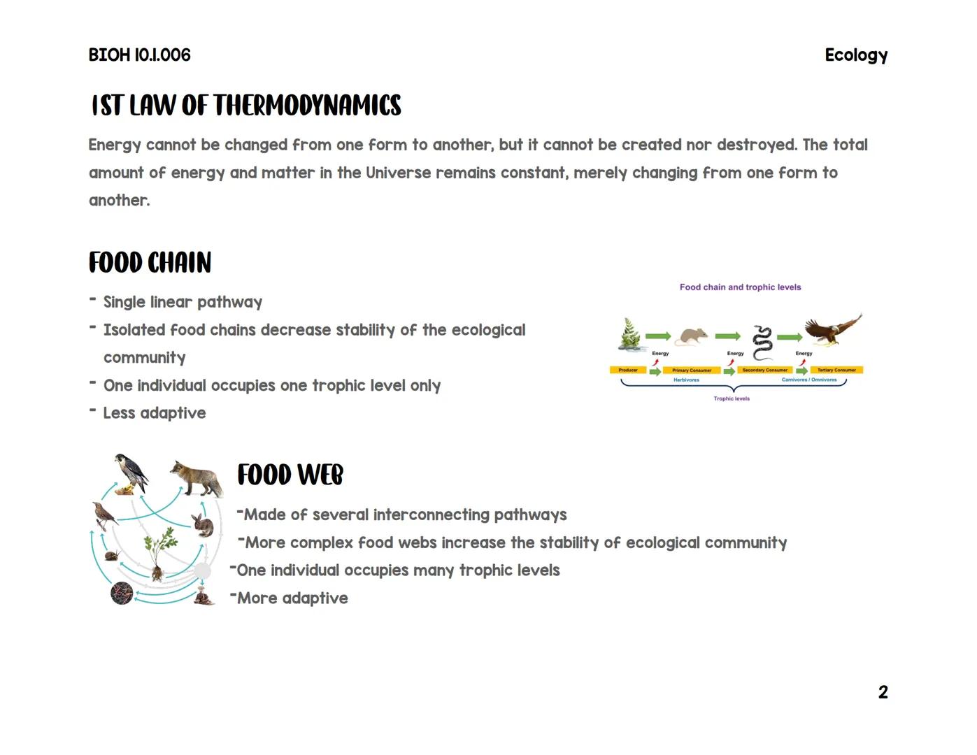 BIOH 10.1.006
Food Webe & Energy Pyramids
VOCABULARY
Herbivore: animals that eat only plants
Omnivores: animals that eat both plant and meat