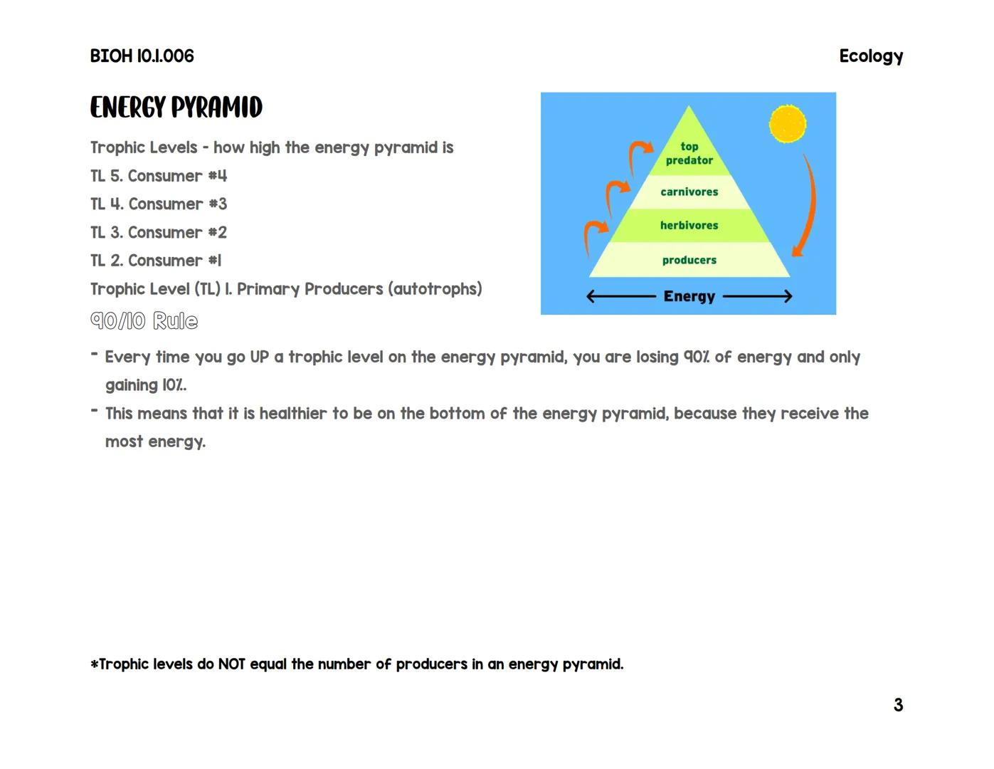 BIOH 10.1.006
Food Webe & Energy Pyramids
VOCABULARY
Herbivore: animals that eat only plants
Omnivores: animals that eat both plant and meat