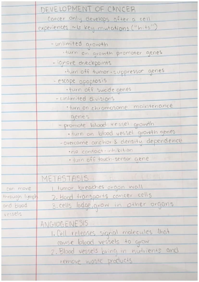 Cancer Slides Notes
Healthy Cells
Large cytoplasm
I nucleas
I nucleolus
fine chromatin
Concerous Cells
small cytoplasm
multiple nuclei
Benig