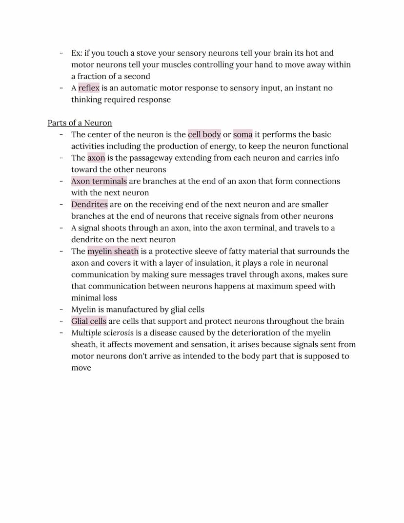 Chapter 2: Brain and Behavior Connections
Phineas Gage
Phineas Gage sustained an injury in which an iron rod was shot through his
brain
He s