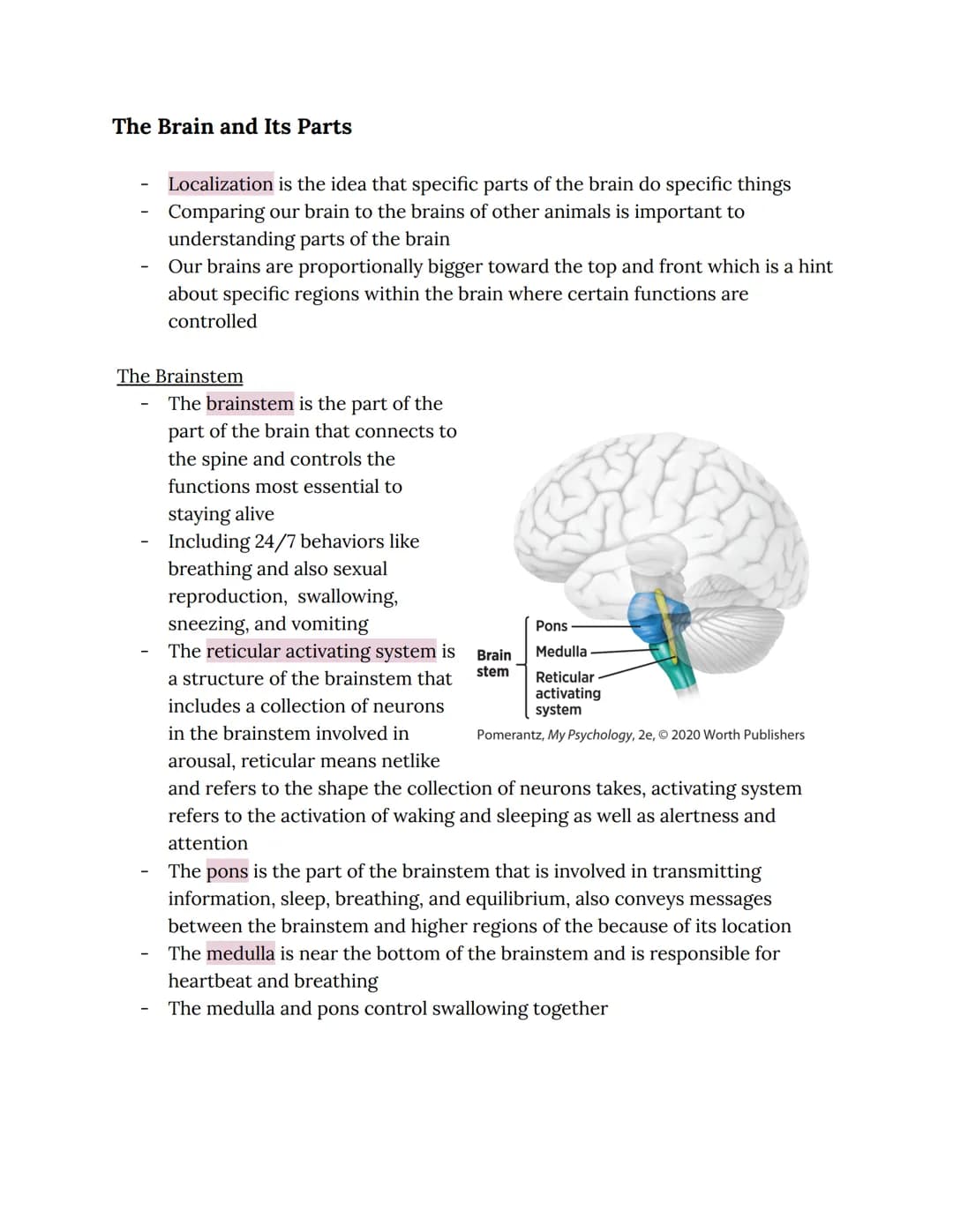 Chapter 2: Brain and Behavior Connections
Phineas Gage
Phineas Gage sustained an injury in which an iron rod was shot through his
brain
He s