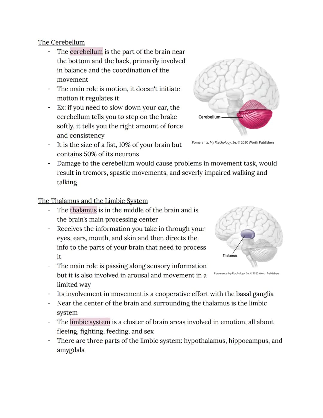 Chapter 2: Brain and Behavior Connections
Phineas Gage
Phineas Gage sustained an injury in which an iron rod was shot through his
brain
He s