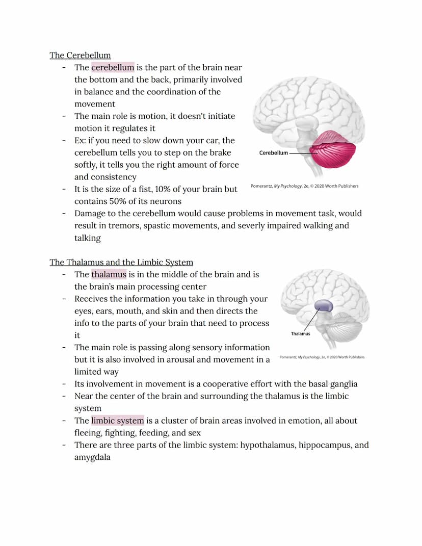 Chapter 2: Brain and Behavior Connections
Phineas Gage
Phineas Gage sustained an injury in which an iron rod was shot through his
brain
He s