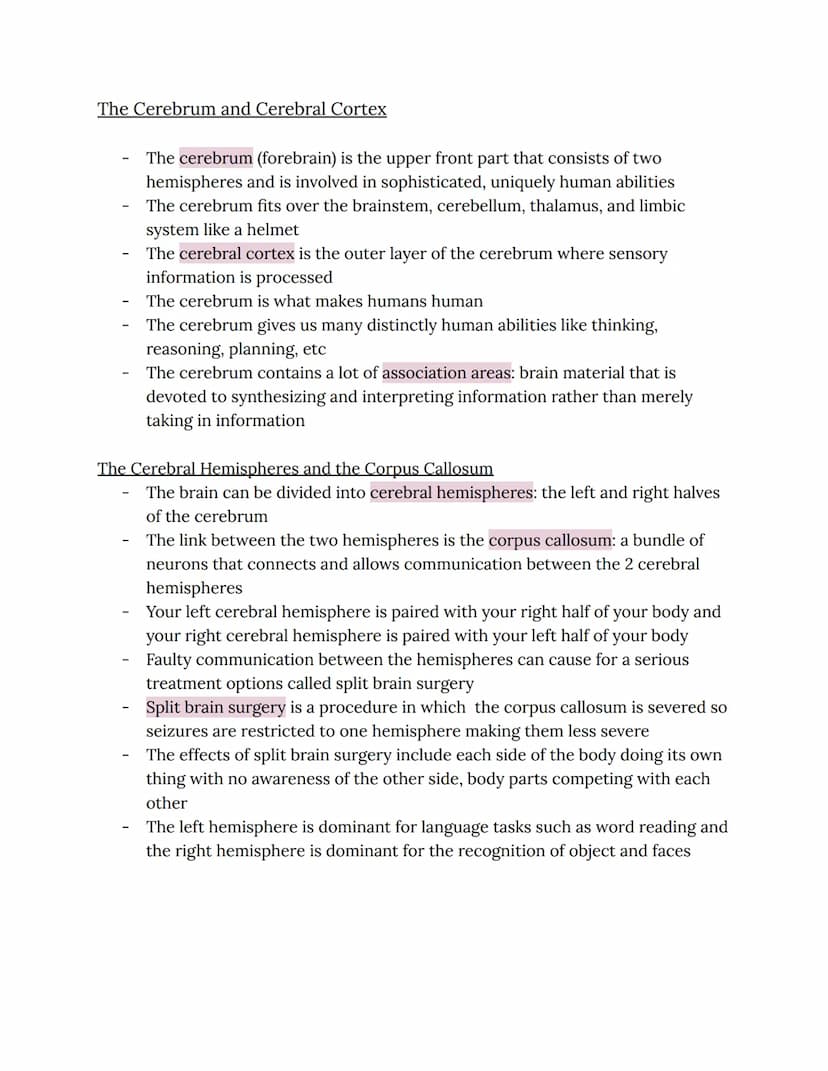 Chapter 2: Brain and Behavior Connections
Phineas Gage
Phineas Gage sustained an injury in which an iron rod was shot through his
brain
He s