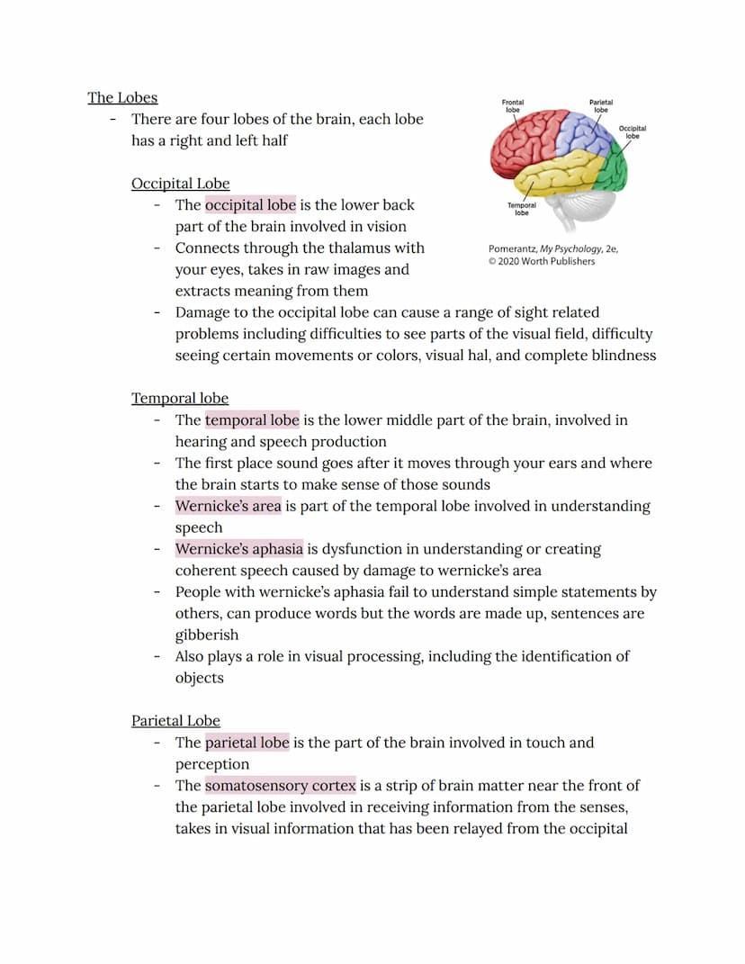 Chapter 2: Brain and Behavior Connections
Phineas Gage
Phineas Gage sustained an injury in which an iron rod was shot through his
brain
He s
