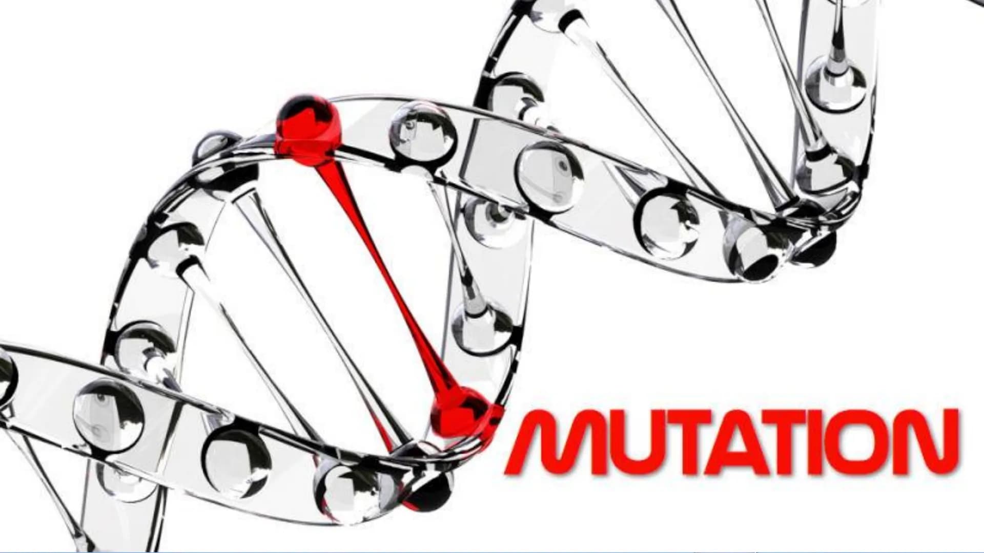 MUTATION Changes in the protein structure or level of expression may lead
to changes in cellular properties and behavior, as a result, the
o