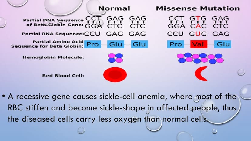 MUTATION Changes in the protein structure or level of expression may lead
to changes in cellular properties and behavior, as a result, the
o