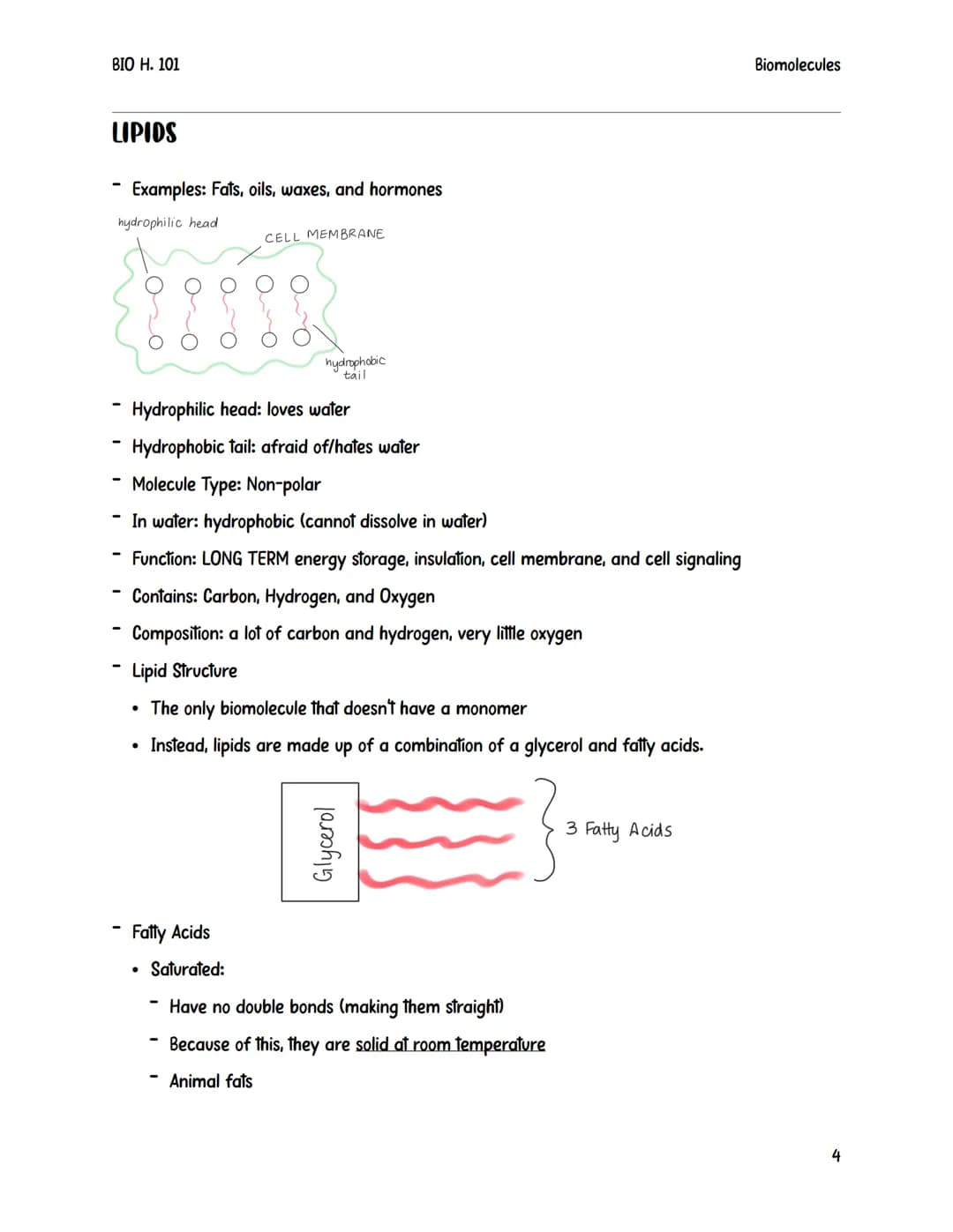 BIO H. 101
Biomolecules
Biomolecules are also sometimes referred to as macromolecules.
They are large complex compounds that are built from 