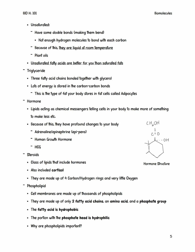 BIO H. 101
Biomolecules
Biomolecules are also sometimes referred to as macromolecules.
They are large complex compounds that are built from 