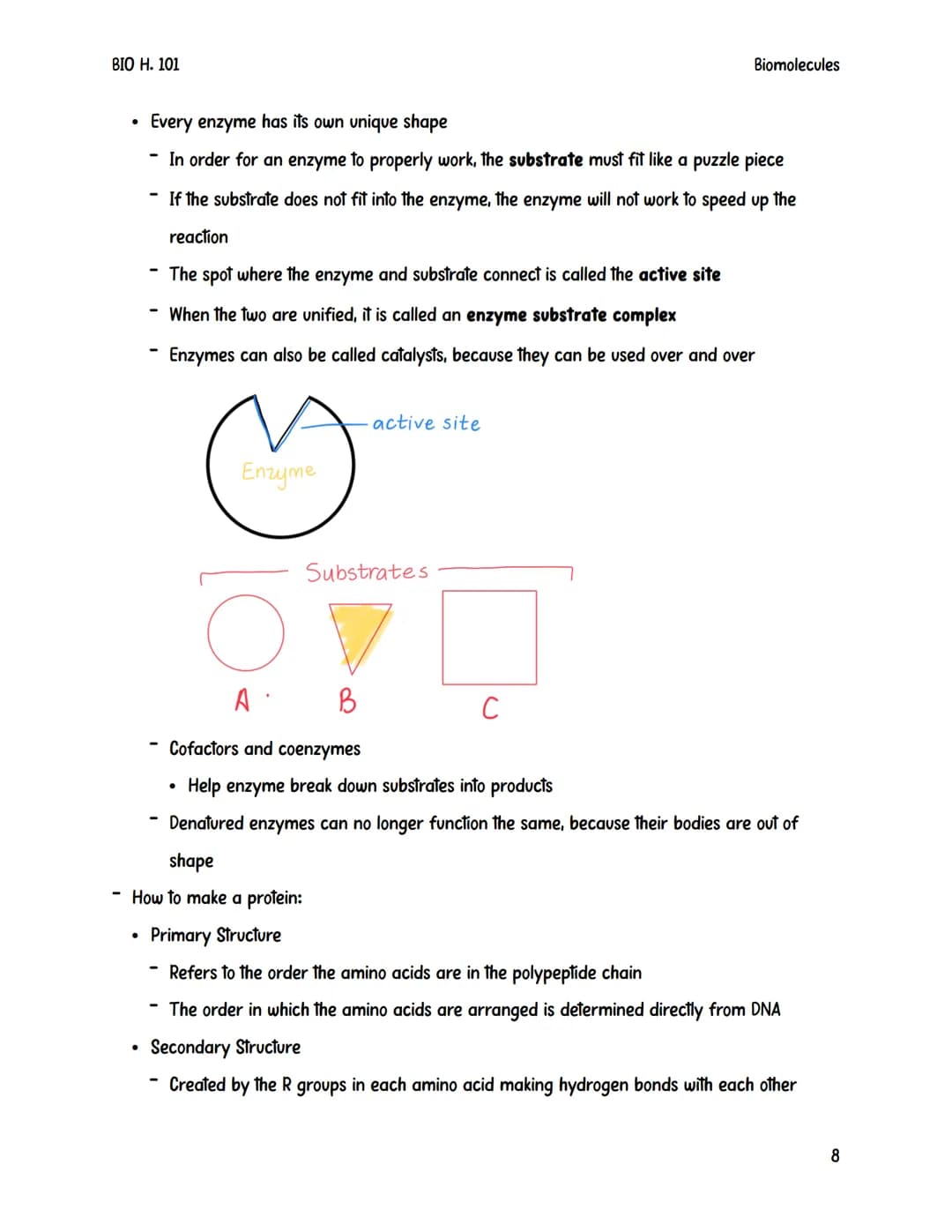 BIO H. 101
Biomolecules
Biomolecules are also sometimes referred to as macromolecules.
They are large complex compounds that are built from 