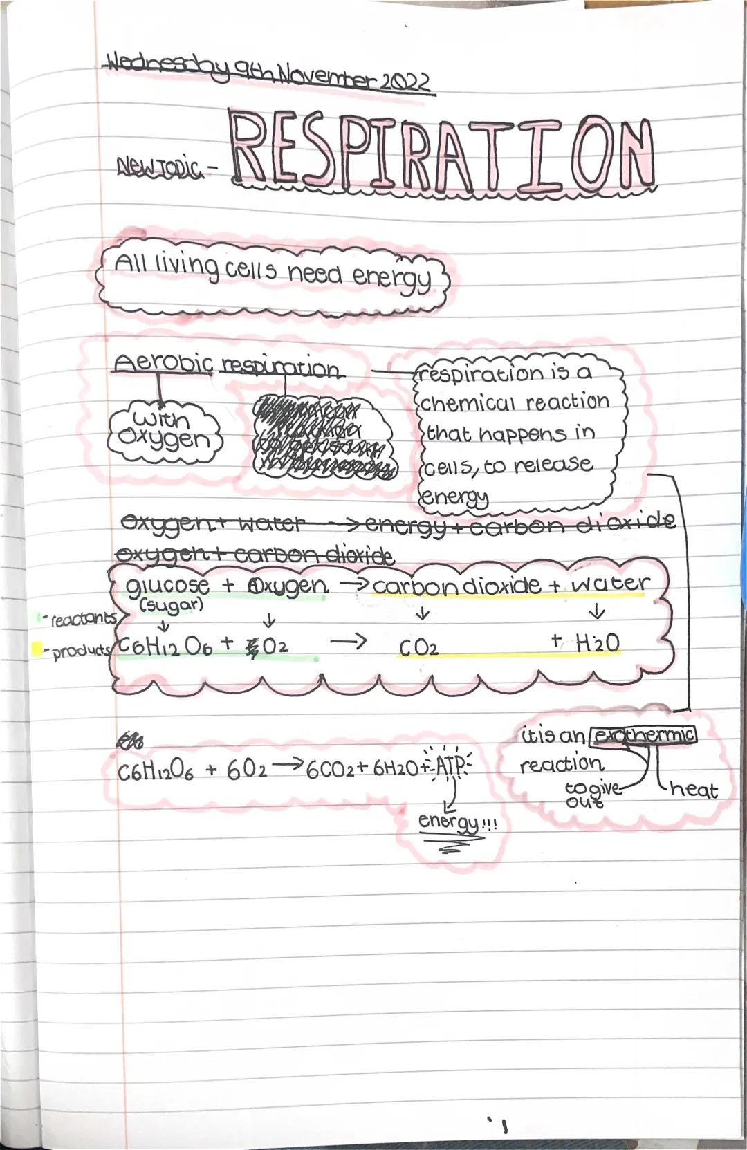 Fun with Respiration: Anaerobic, Aerobic & Cell Reactions!