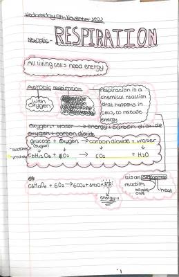 Know respiration thumbnail