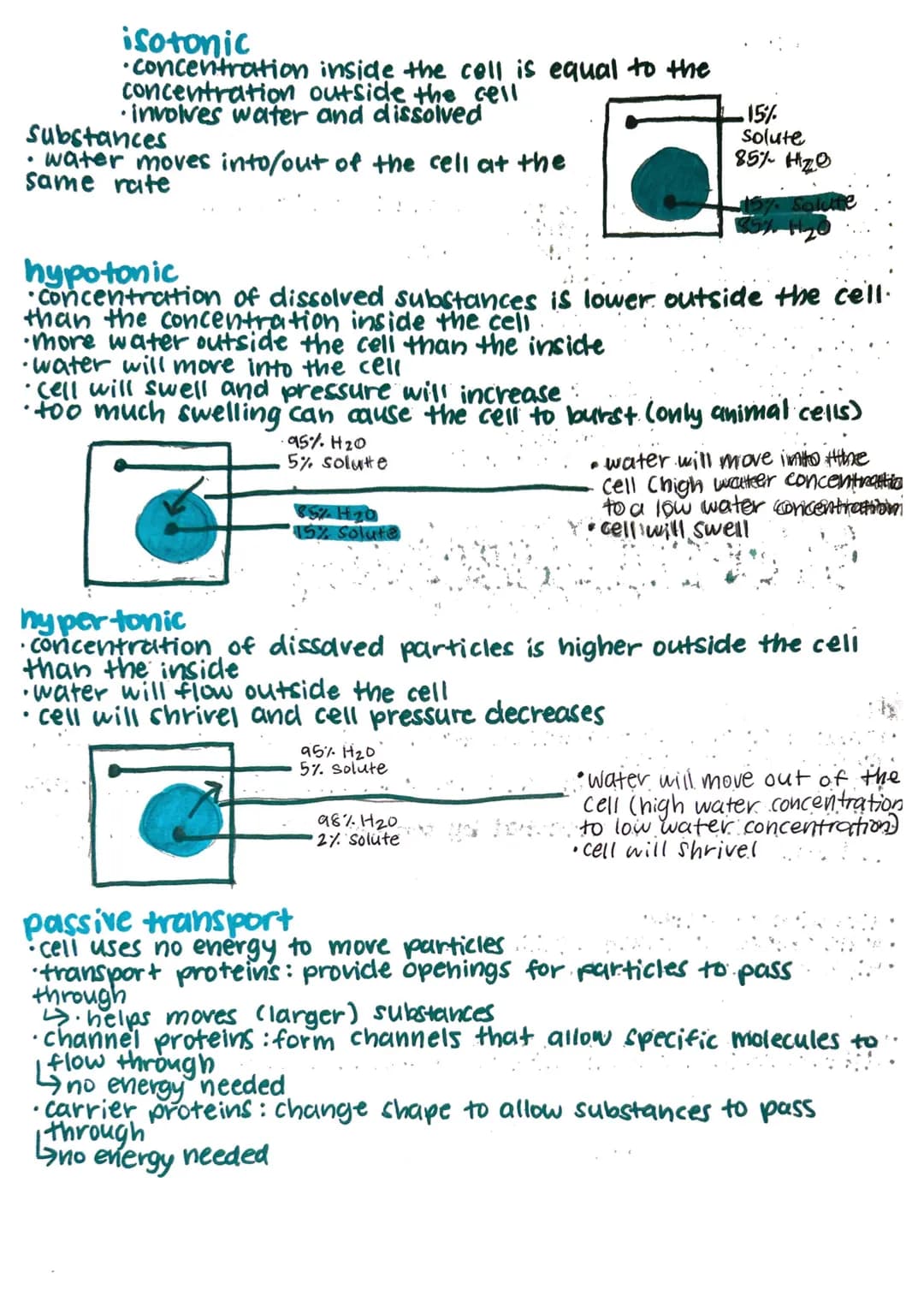 cell membrane
'aka plasma membrane
•
.
cell transport
.
flexilole boundry between the cell and its environment
allows steady flow of nutrien