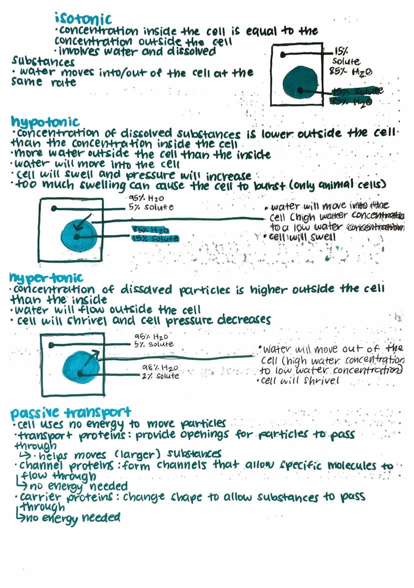 cell membrane
'aka plasma membrane
•
.
cell transport
.
flexilole boundry between the cell and its environment
allows steady flow of nutrien