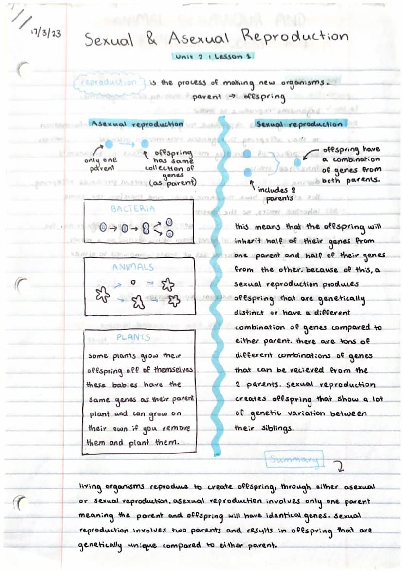 17/3/23
Sexual & Asexual Reproduction
Unit 2 Lesson 1
reproduction
o Asexual reproduction N
only one
parent
ng kang
w
↑
☆
is the process of 