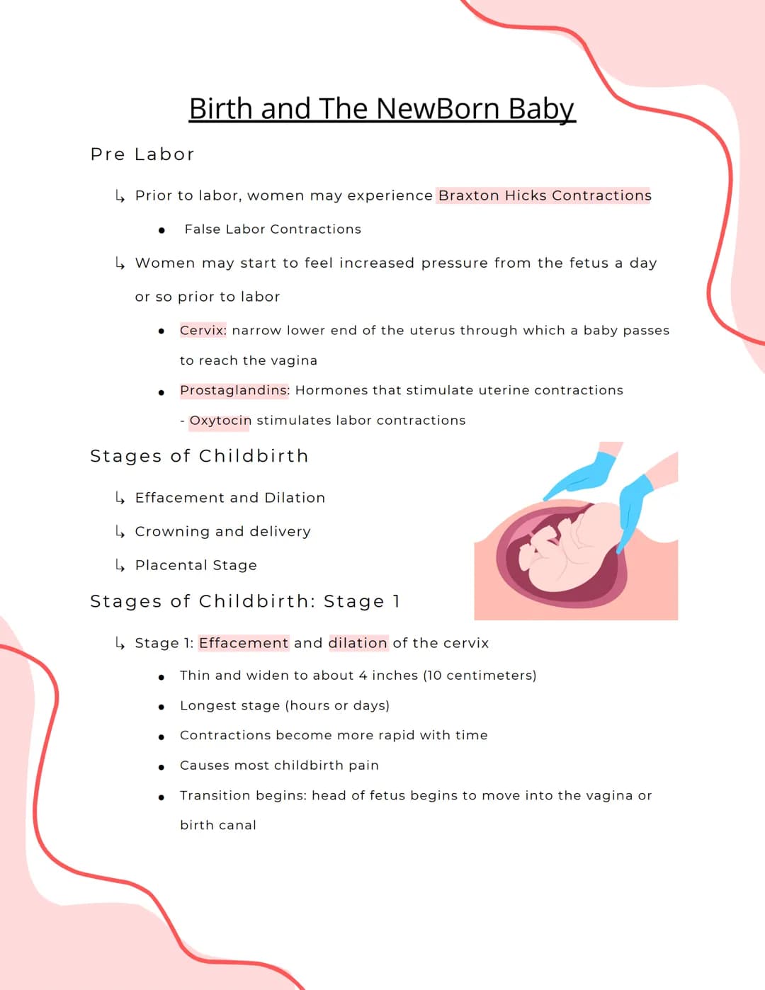 Pre Labor
↳ Prior to labor, women may experience Braxton Hicks Contractions
Birth and The NewBorn Baby
● False Labor Contractions
↳ Women ma