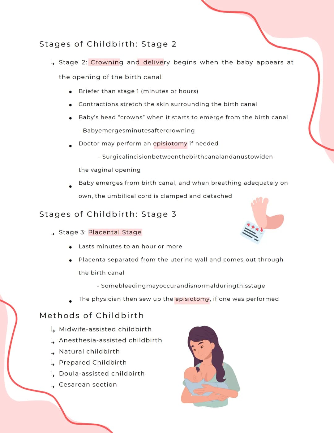 Pre Labor
↳ Prior to labor, women may experience Braxton Hicks Contractions
Birth and The NewBorn Baby
● False Labor Contractions
↳ Women ma