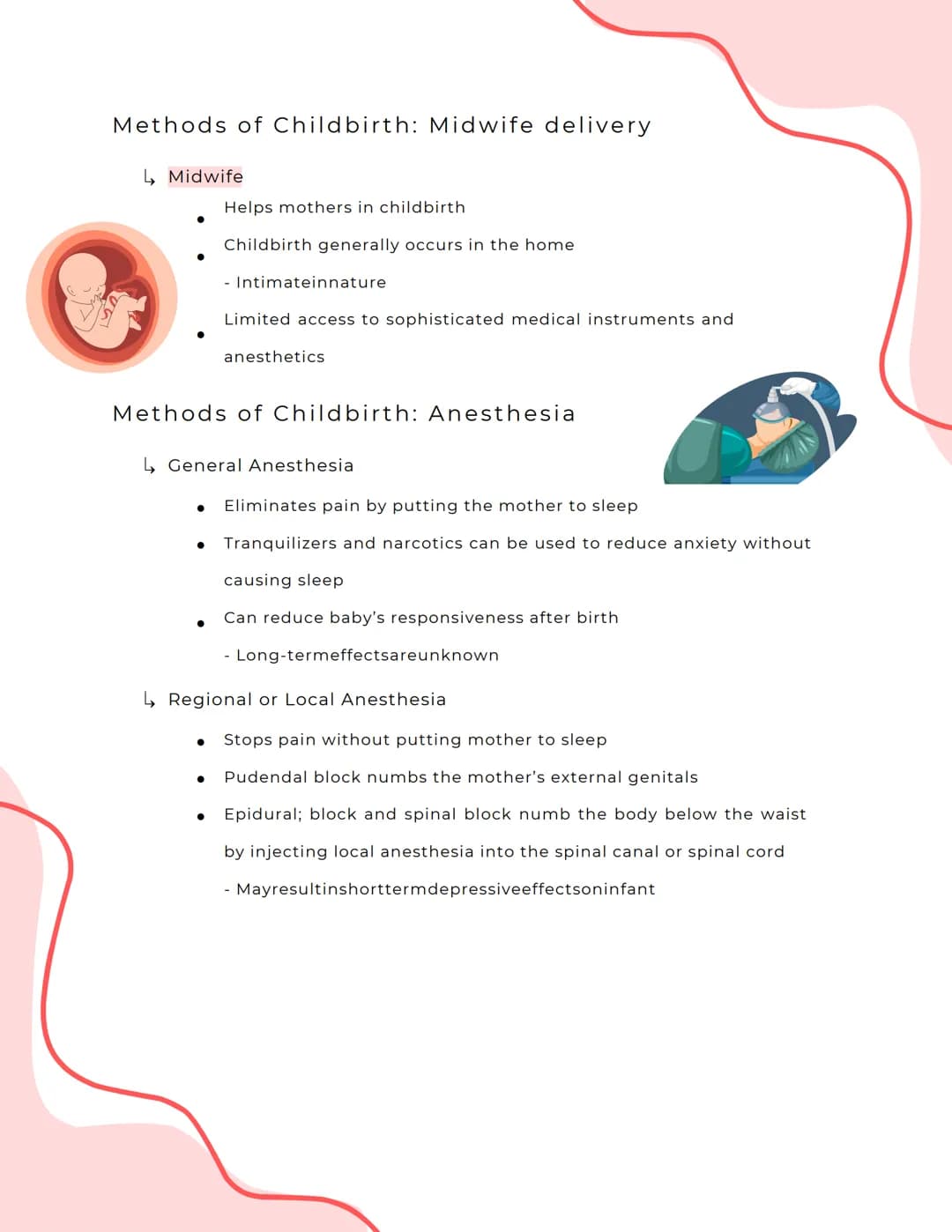 Pre Labor
↳ Prior to labor, women may experience Braxton Hicks Contractions
Birth and The NewBorn Baby
● False Labor Contractions
↳ Women ma