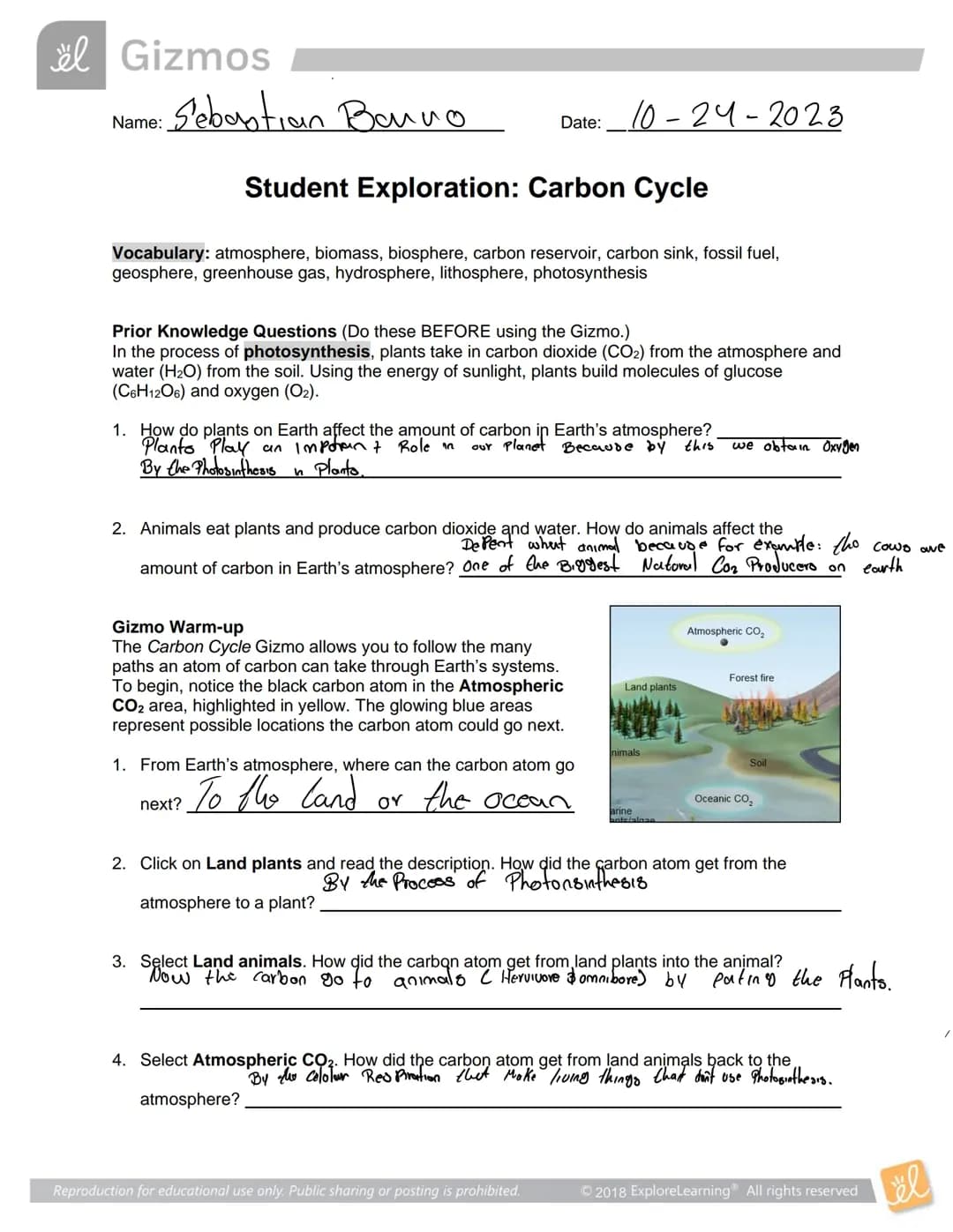 Carbon Cycle