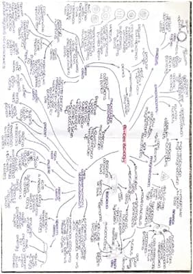 Know GCSE AQA Biology Combined Science Paper 1 B1-B4 Mindmaps thumbnail