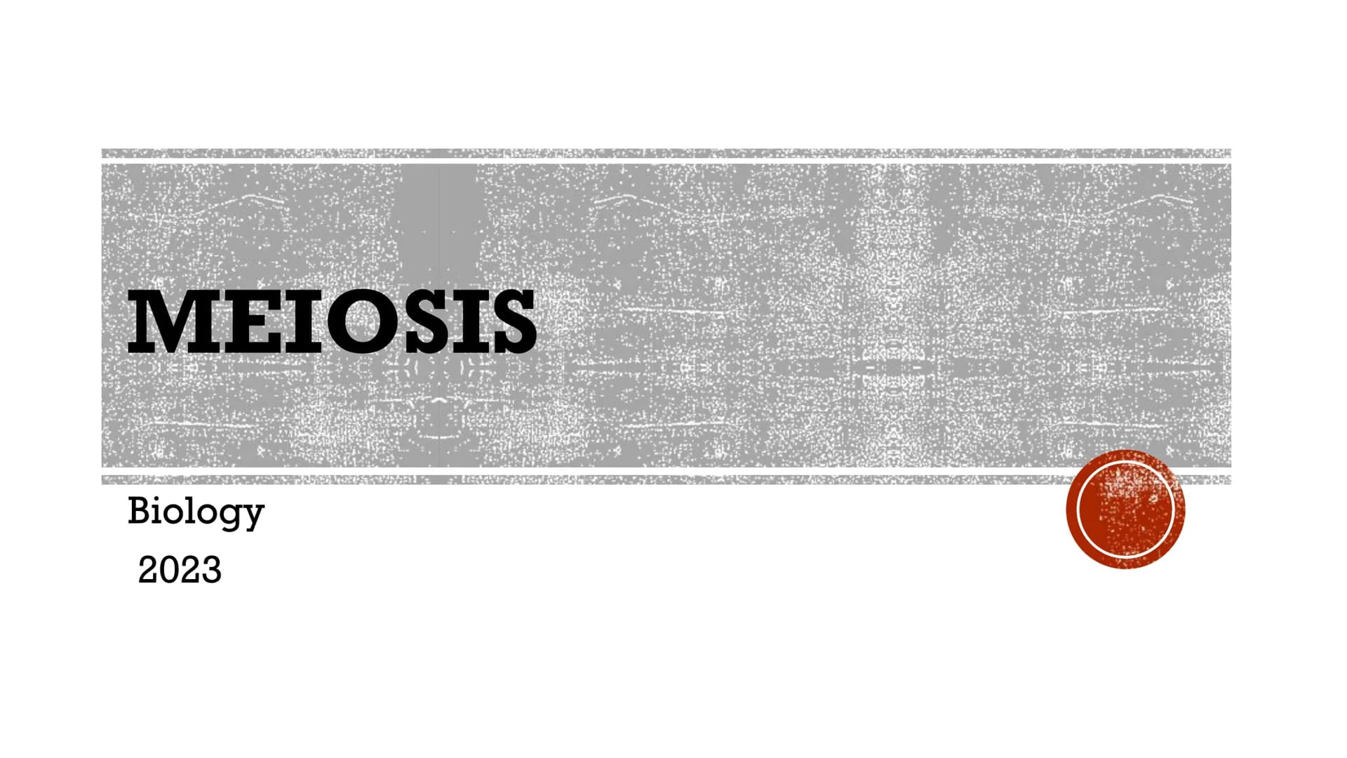 MEIOSIS
Biology
2023 >>
CAUSEURSDAY
20
m
K
» X "
X८SH MEIOSIS
▪a process in the sexual cycle by which the
chromosome number is reduced by 1/