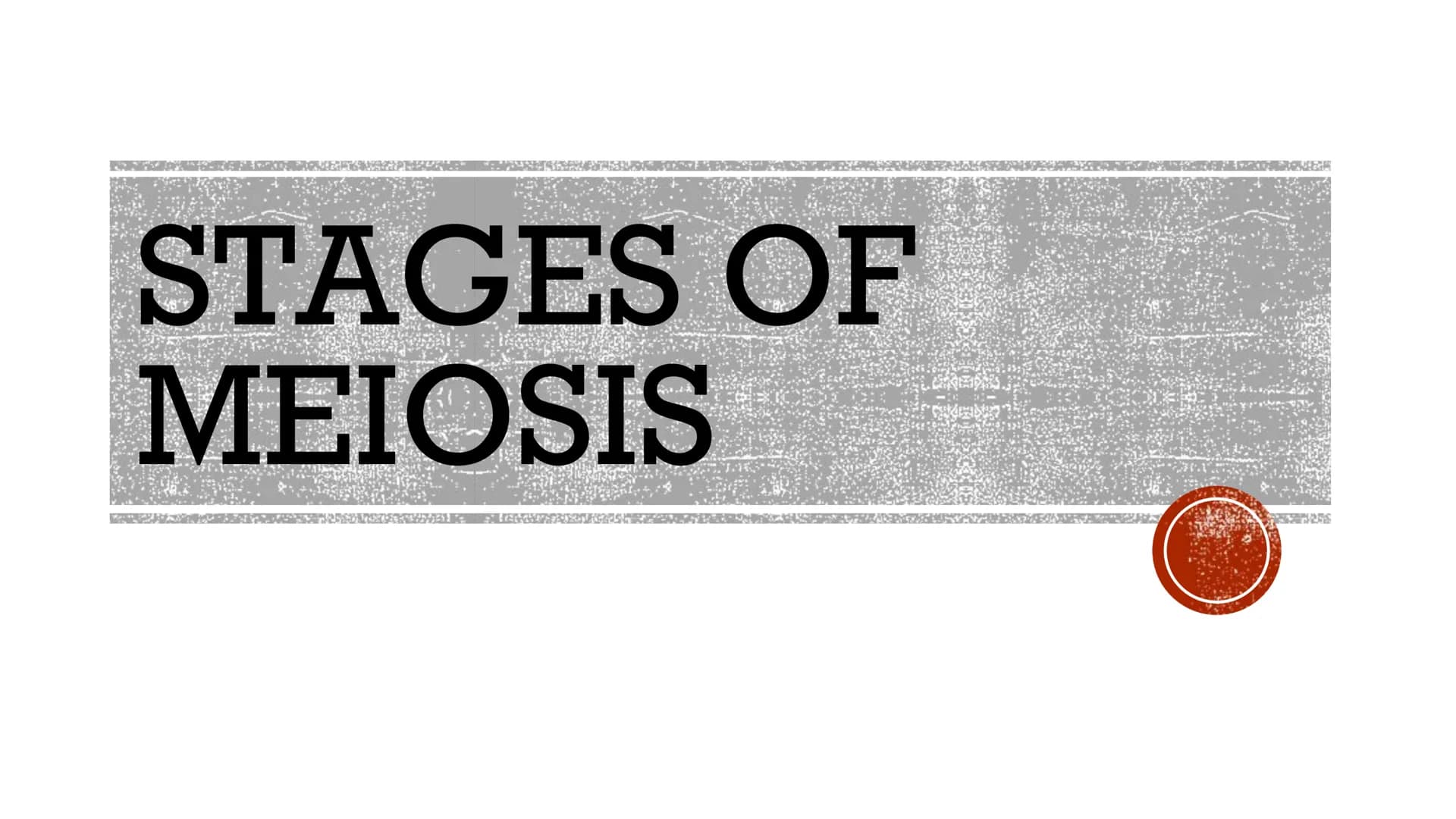 MEIOSIS
Biology
2023 >>
CAUSEURSDAY
20
m
K
» X "
X८SH MEIOSIS
▪a process in the sexual cycle by which the
chromosome number is reduced by 1/