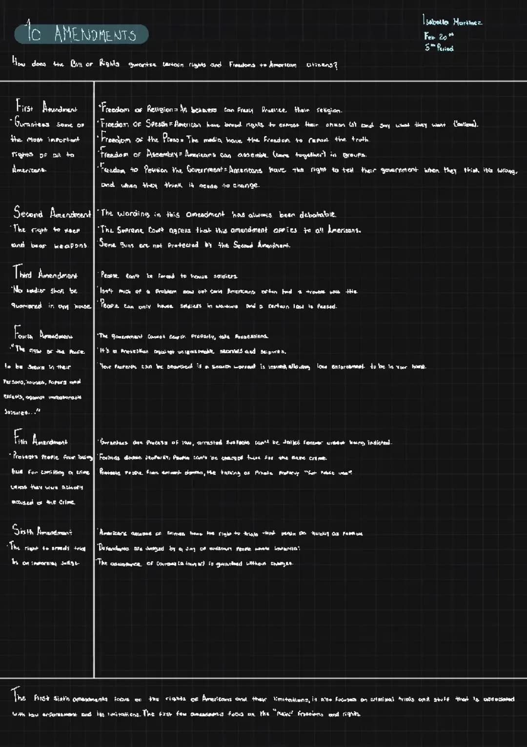 The 10 Ammendments 