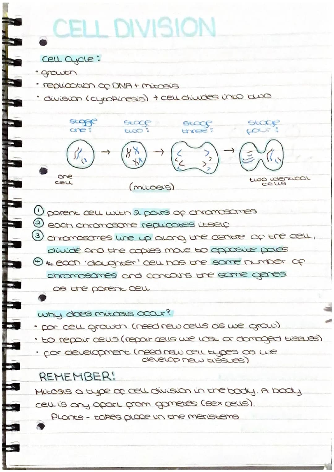 CELL DIVISION
cell cycle:
• growth
4
replication of DNA + mitosis
division (cytokinesis) + cell divides into two
stage
one
cell
برم
stage
(8