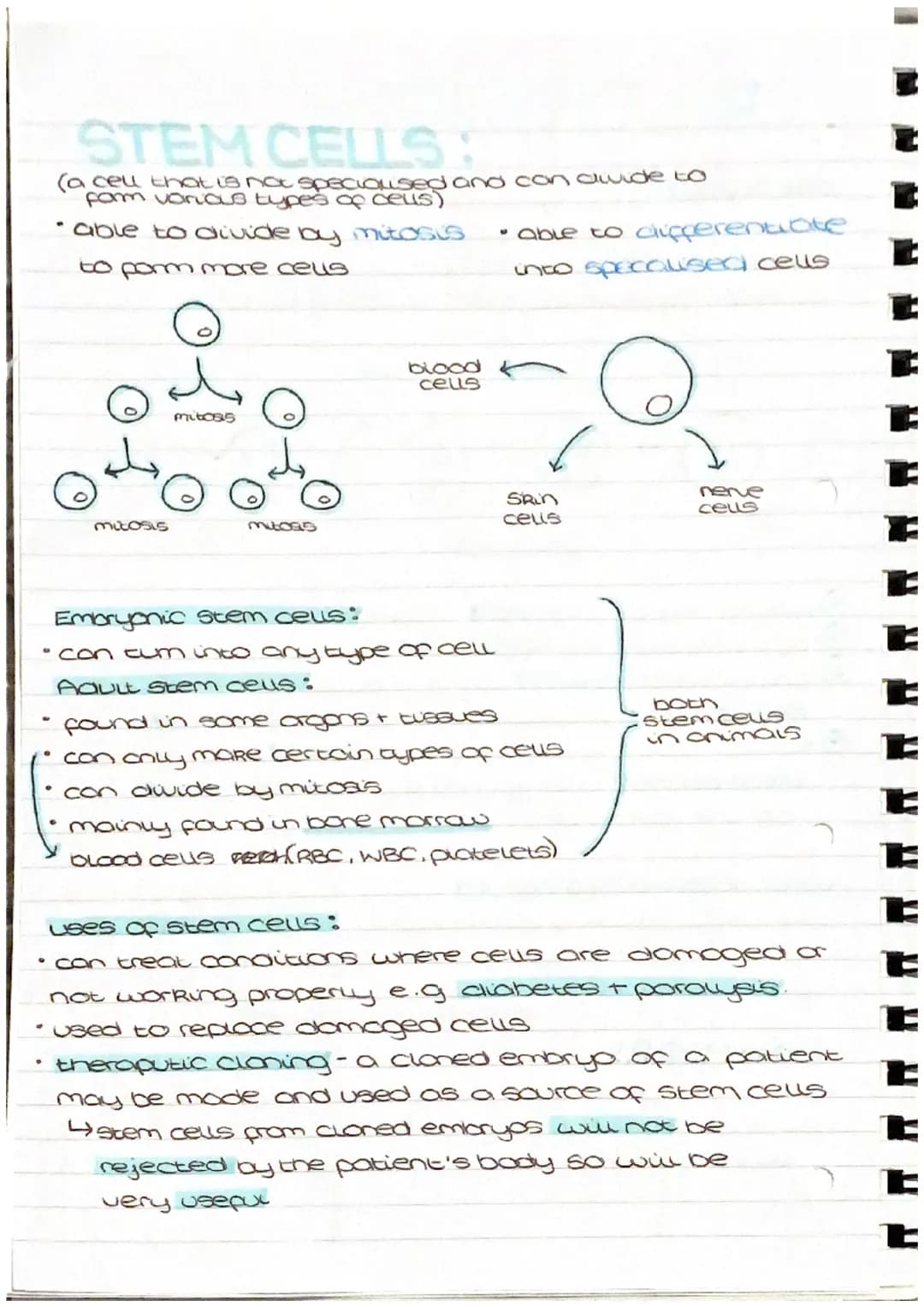 CELL DIVISION
cell cycle:
• growth
4
replication of DNA + mitosis
division (cytokinesis) + cell divides into two
stage
one
cell
برم
stage
(8
