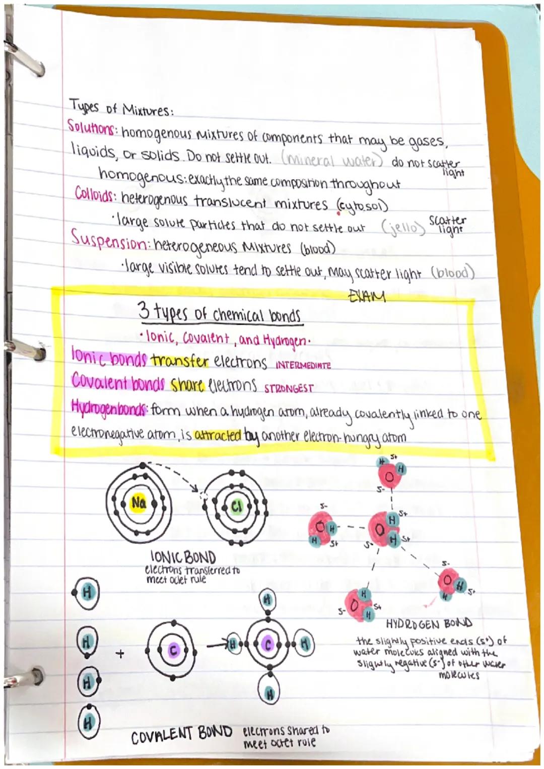 Chapter 1
Anatomy: the structure of body parts: their relationships
with one another
Gross (Macroscopic) Anatomy: Study of large body struct