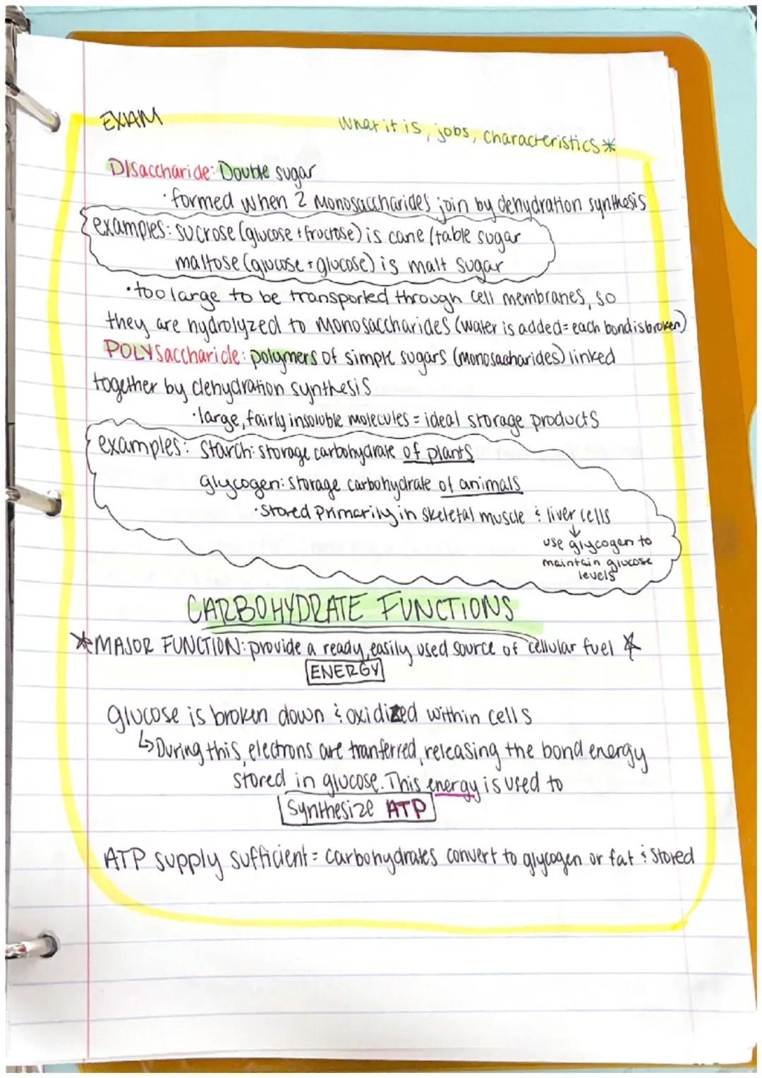 Chapter 1
Anatomy: the structure of body parts: their relationships
with one another
Gross (Macroscopic) Anatomy: Study of large body struct