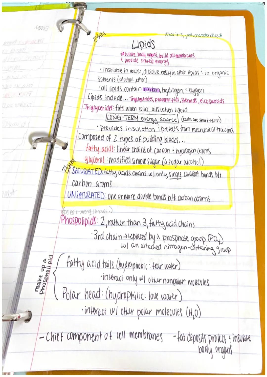 Chapter 1
Anatomy: the structure of body parts: their relationships
with one another
Gross (Macroscopic) Anatomy: Study of large body struct