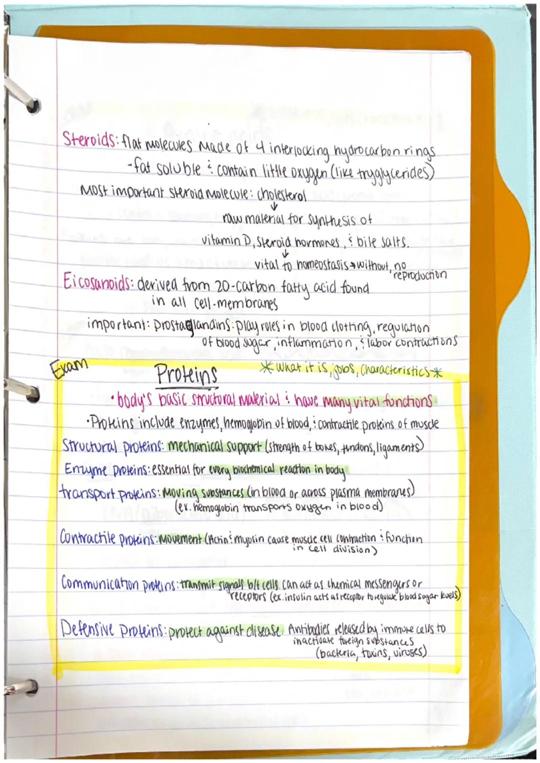 Chapter 1
Anatomy: the structure of body parts: their relationships
with one another
Gross (Macroscopic) Anatomy: Study of large body struct