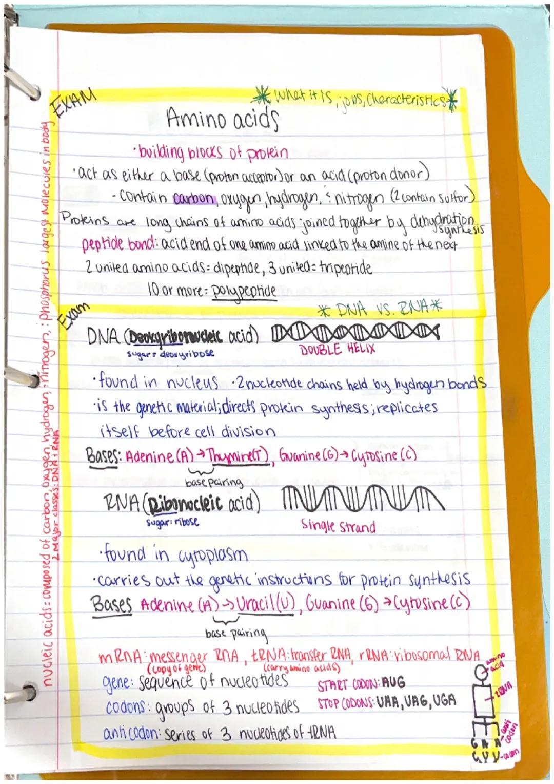 Chapter 1
Anatomy: the structure of body parts: their relationships
with one another
Gross (Macroscopic) Anatomy: Study of large body struct