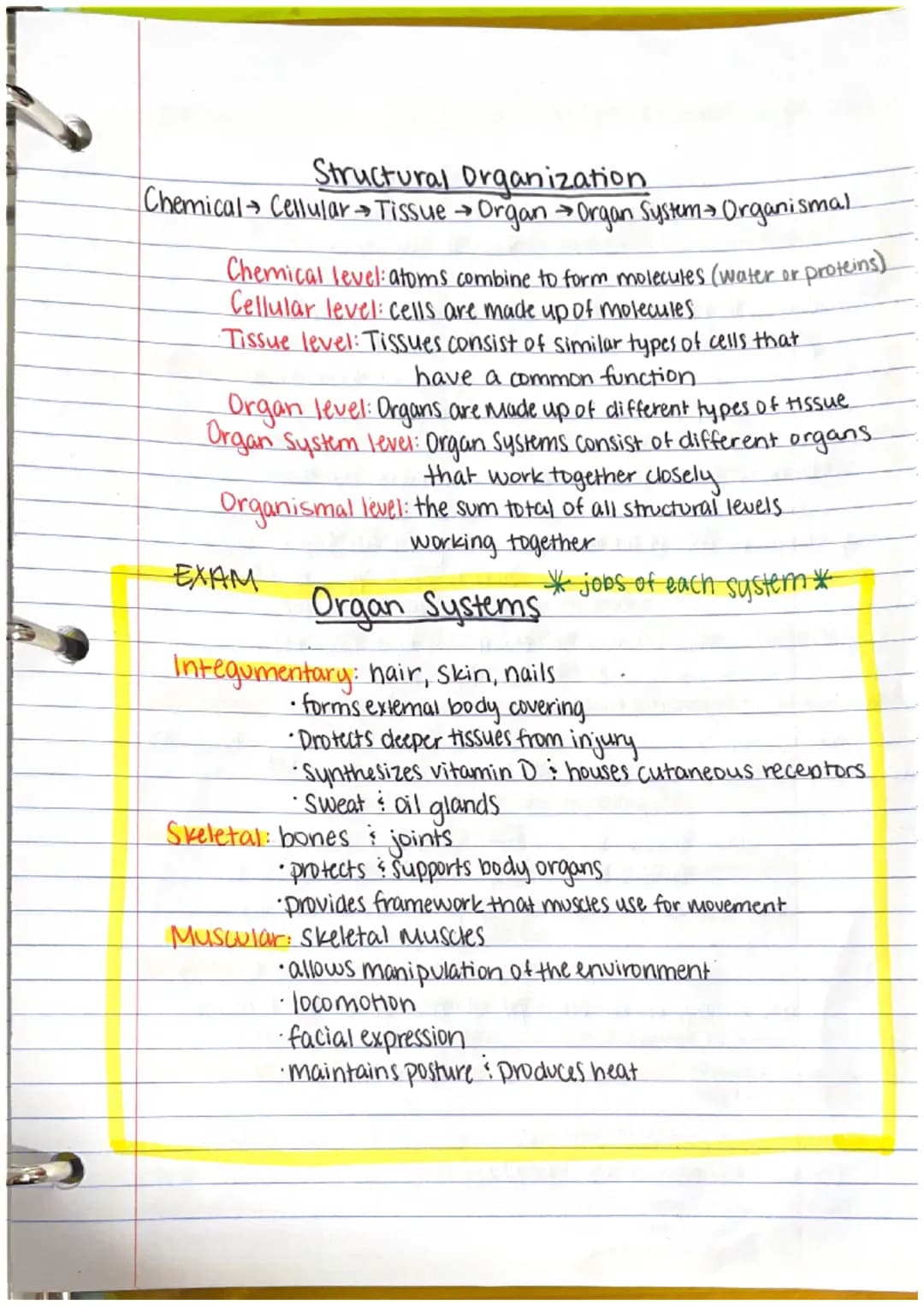 Chapter 1
Anatomy: the structure of body parts: their relationships
with one another
Gross (Macroscopic) Anatomy: Study of large body struct