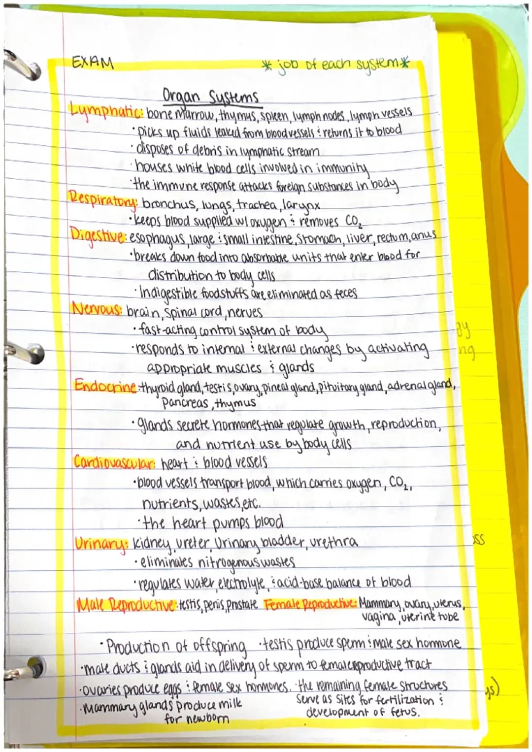 Chapter 1
Anatomy: the structure of body parts: their relationships
with one another
Gross (Macroscopic) Anatomy: Study of large body struct