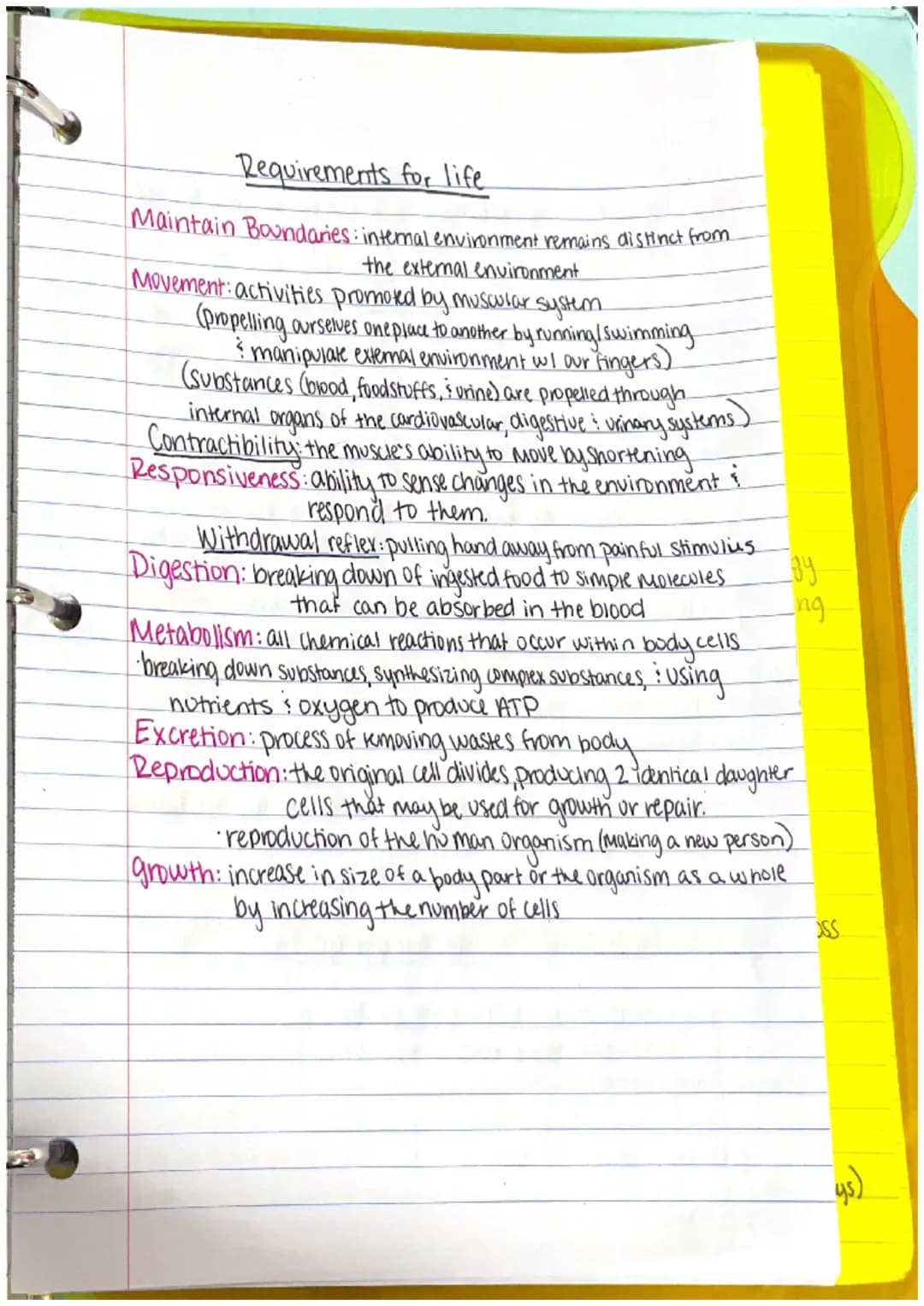 Chapter 1
Anatomy: the structure of body parts: their relationships
with one another
Gross (Macroscopic) Anatomy: Study of large body struct