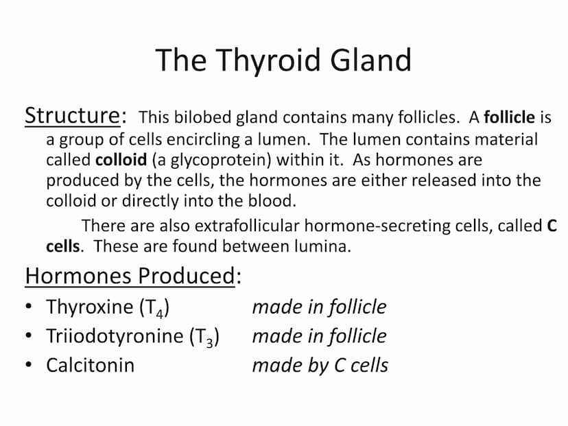 
<p>The endocrine system is made up of a network of organs and glands that secret hormones to control a myriad of bodily functions. These ho