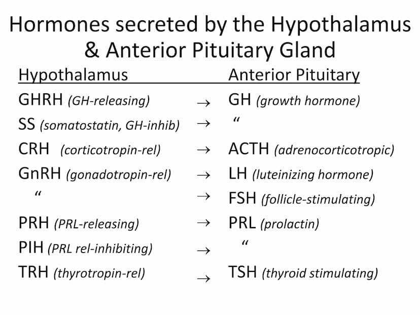 
<p>The endocrine system is made up of a network of organs and glands that secret hormones to control a myriad of bodily functions. These ho