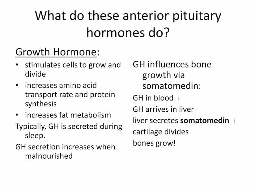 
<p>The endocrine system is made up of a network of organs and glands that secret hormones to control a myriad of bodily functions. These ho