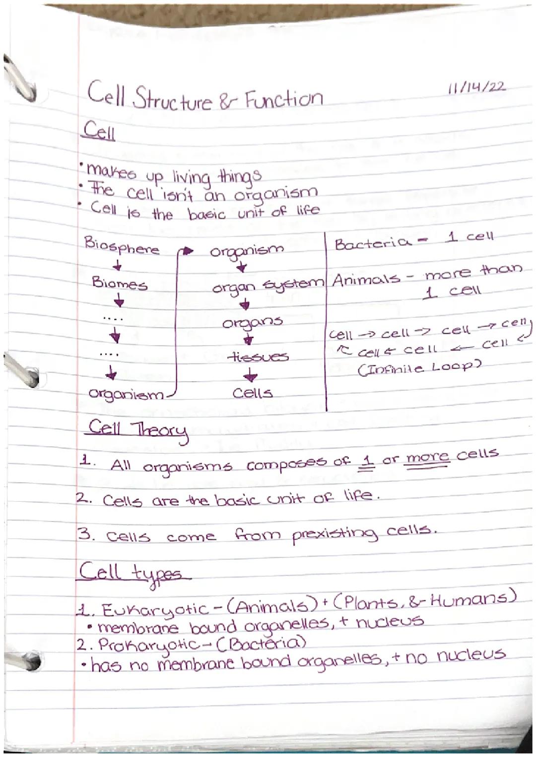 Understanding Cell Structure and Functions: Notes and Diagrams