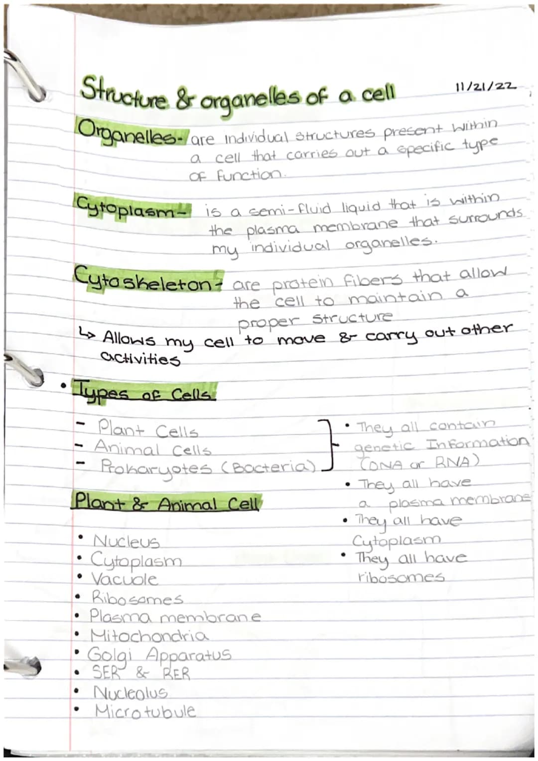 
<h2 id="thecell">The Cell</h2>
<p>In biology, the cell is an essential component that makes up living things, but it is not considered an o