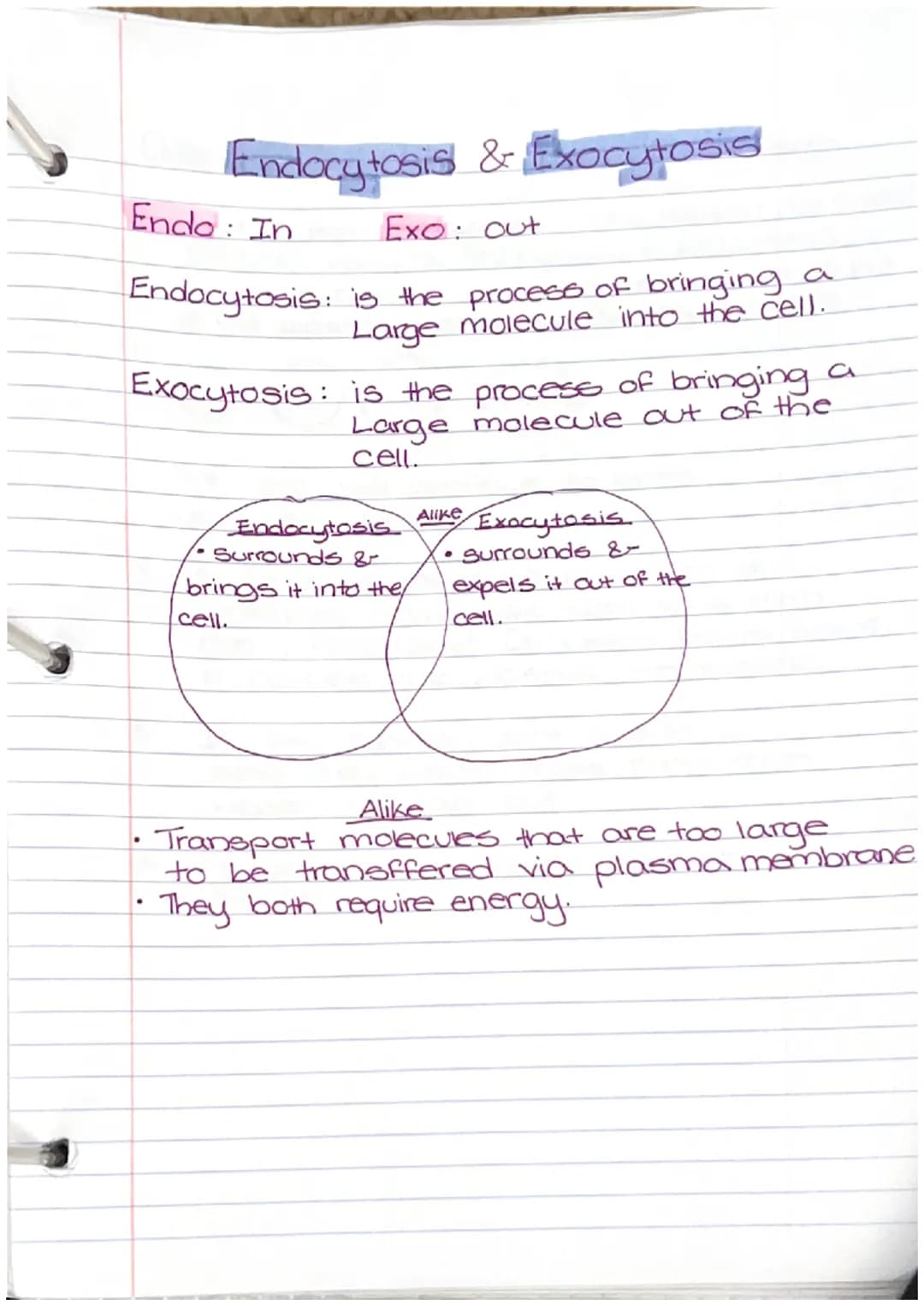 
<h2 id="thecell">The Cell</h2>
<p>In biology, the cell is an essential component that makes up living things, but it is not considered an o