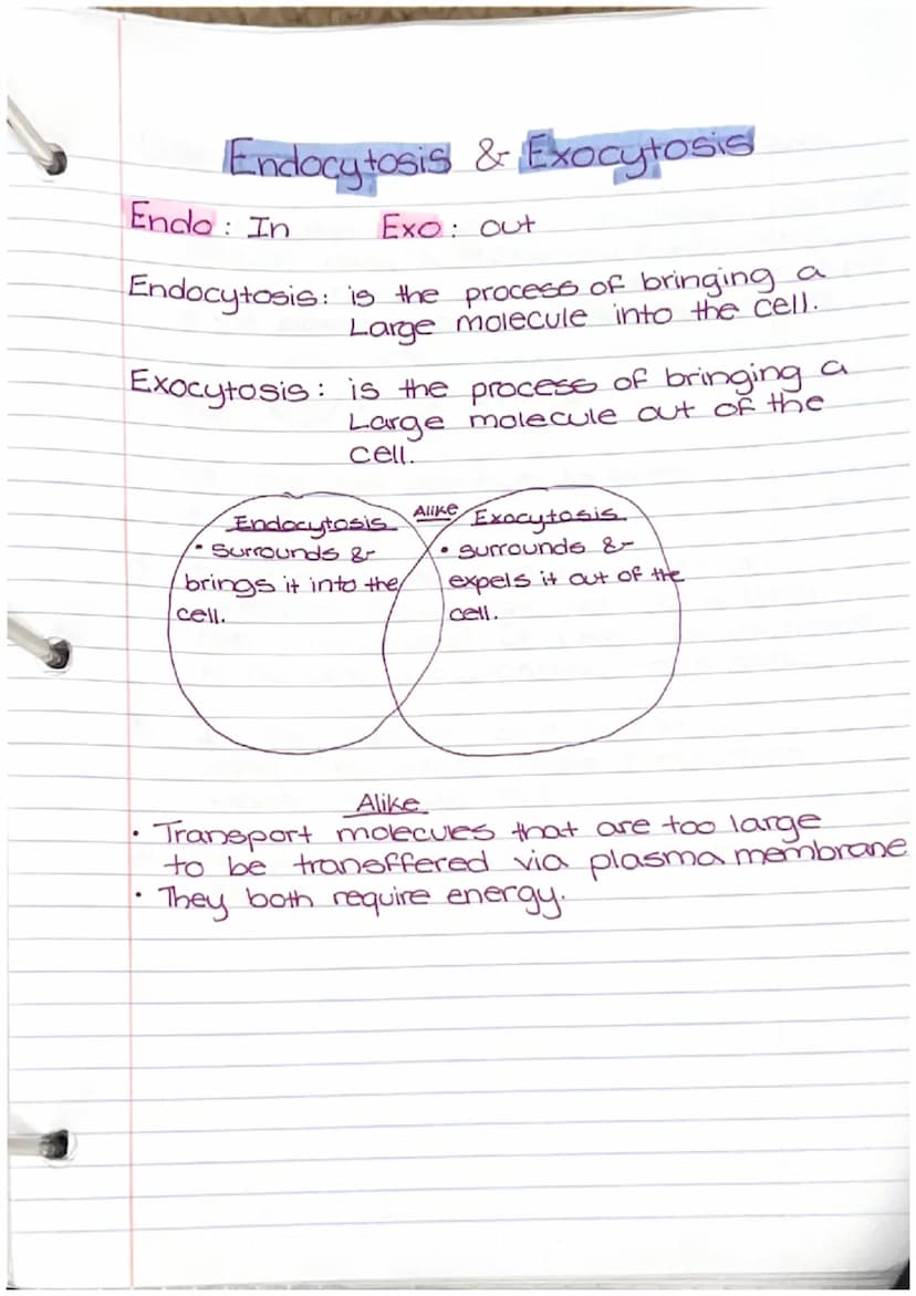 
<h2 id="thecell">The Cell</h2>
<p>In biology, the cell is an essential component that makes up living things, but it is not considered an o