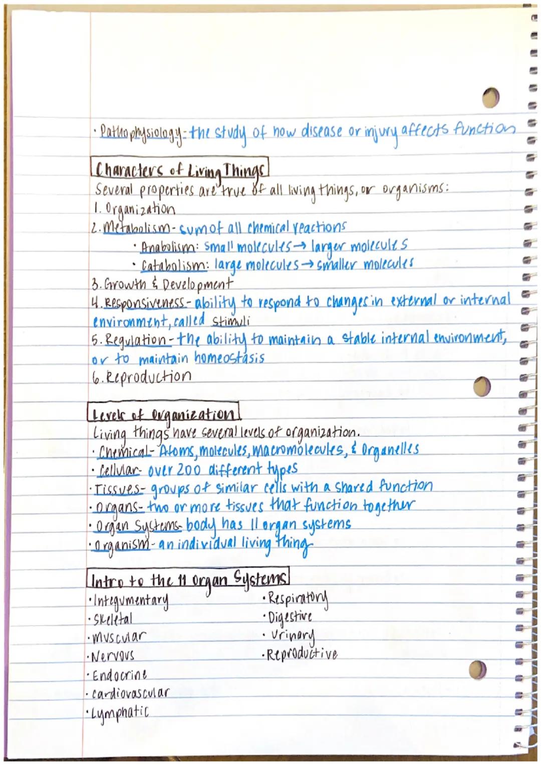 1111111
IL
[Chapter 1 Notes]
--Anatomy - the study of structure and form
→ the word anatomy is derived from the Greek word.
anatome, which m